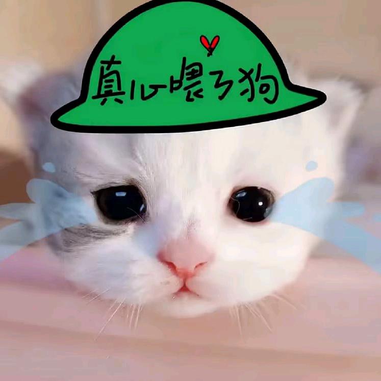 涅磐重生