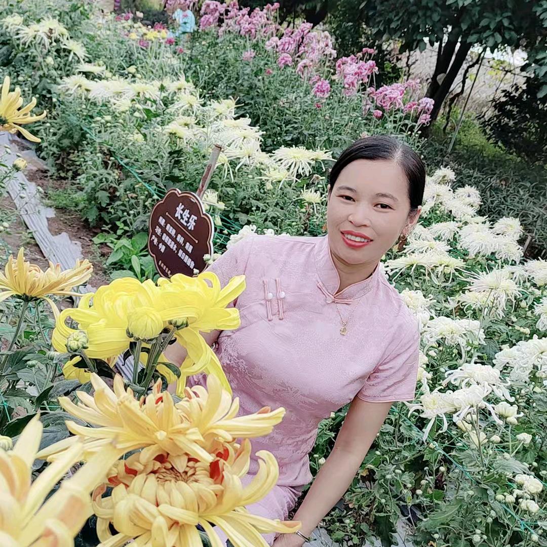 琴妹