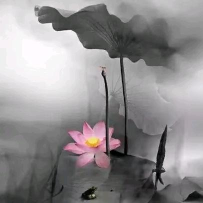 ᭄岁月静好ꦿོ࿐