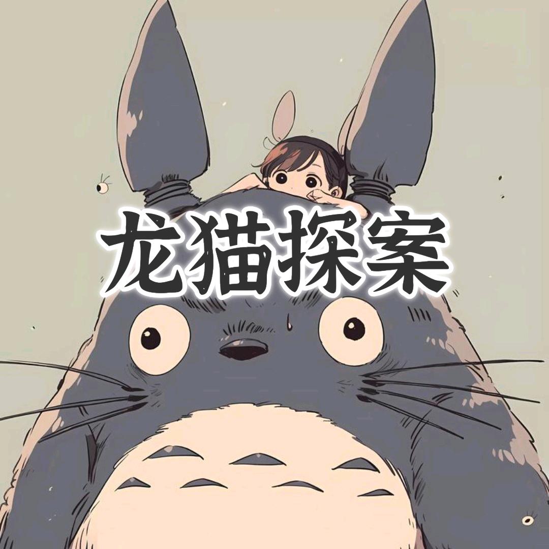 龙猫探案