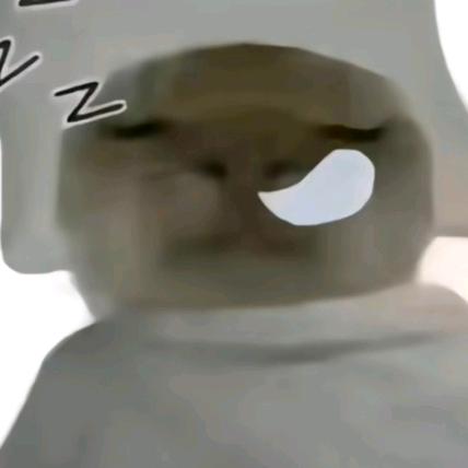 𝘼𝙝𝙤𝙡𝙞𝙘