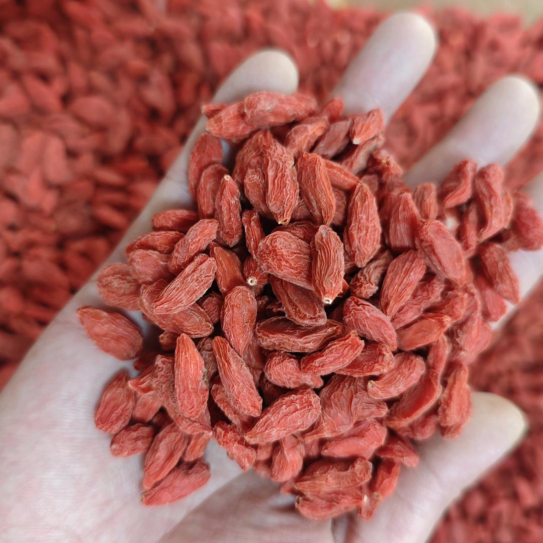 中宁美航枸杞店