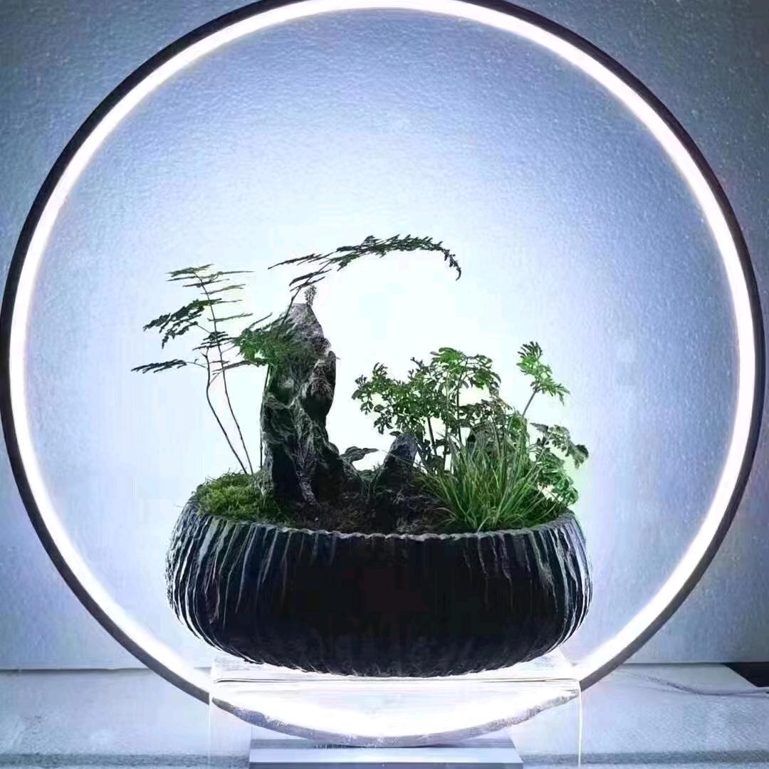 维怡臻选阁