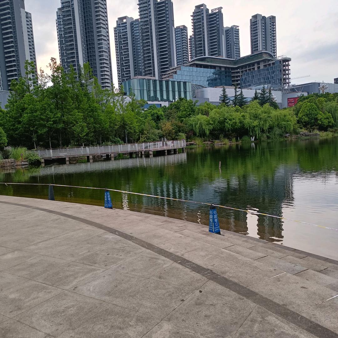 风雨无阻🎈🎉☔️🌹🌹