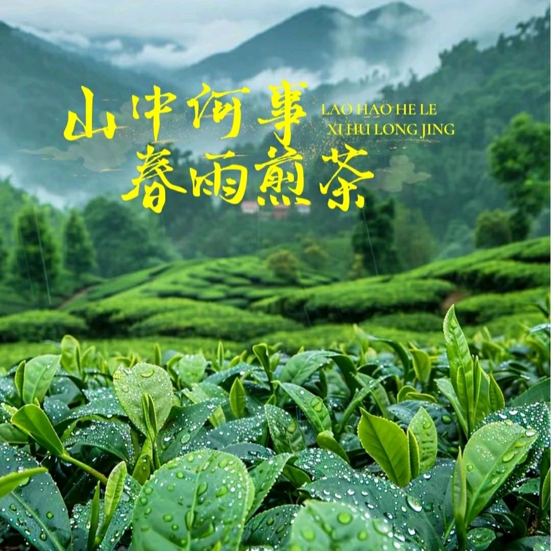 茶中友