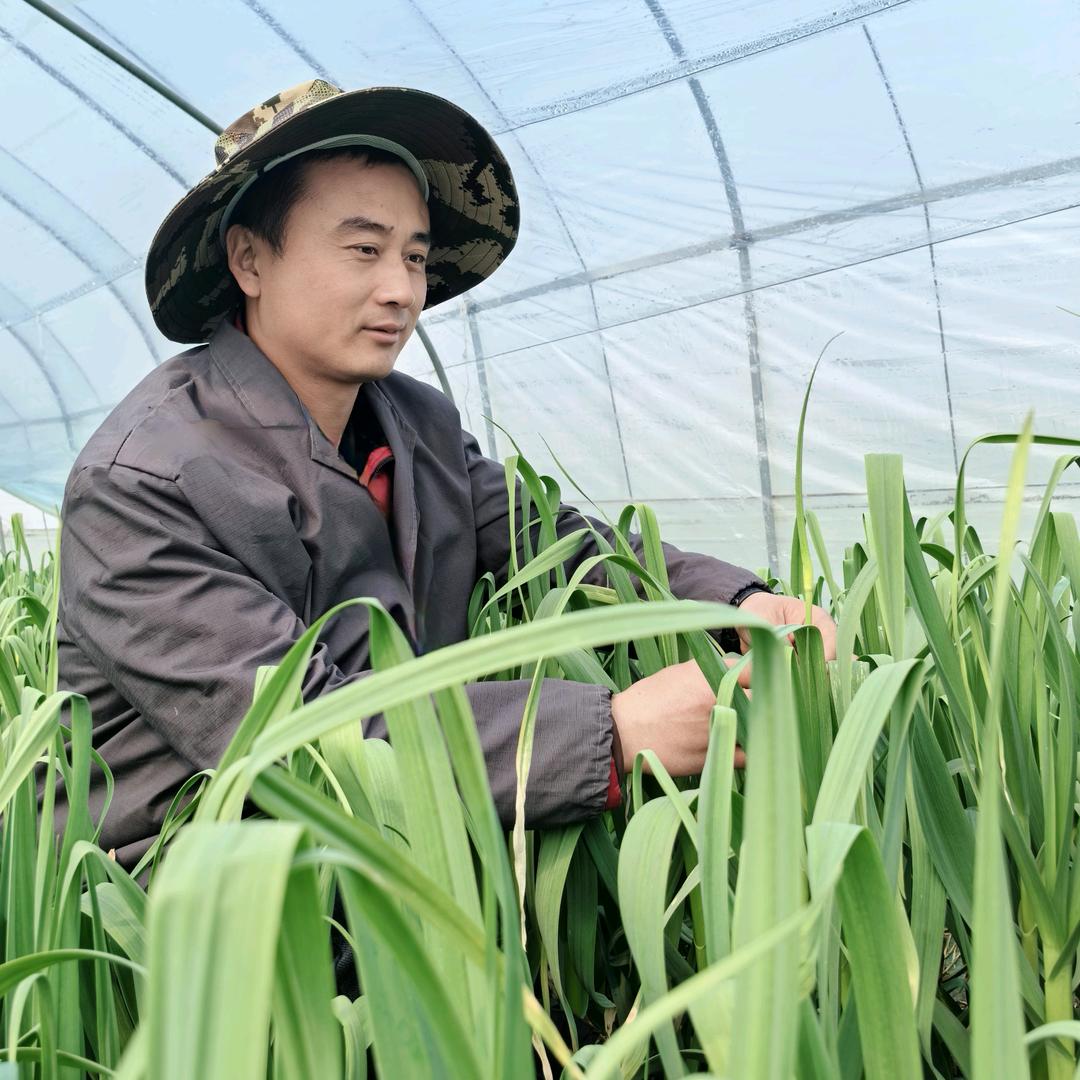 宝成说了蒜