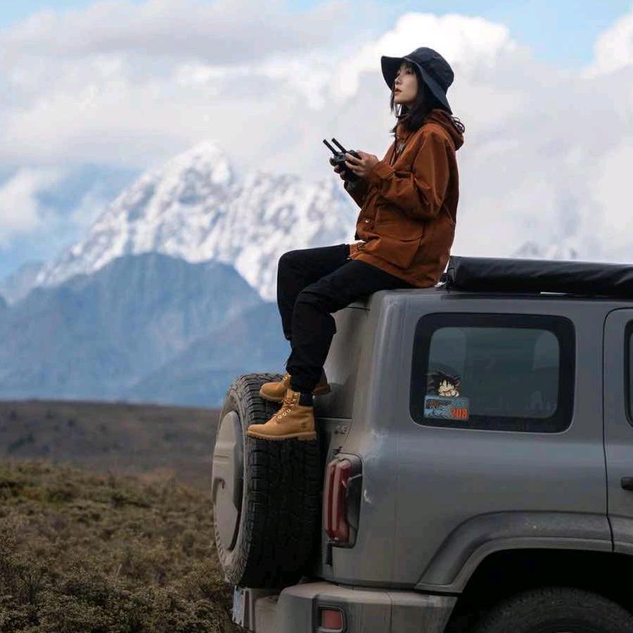 养一只猫猫（收图）