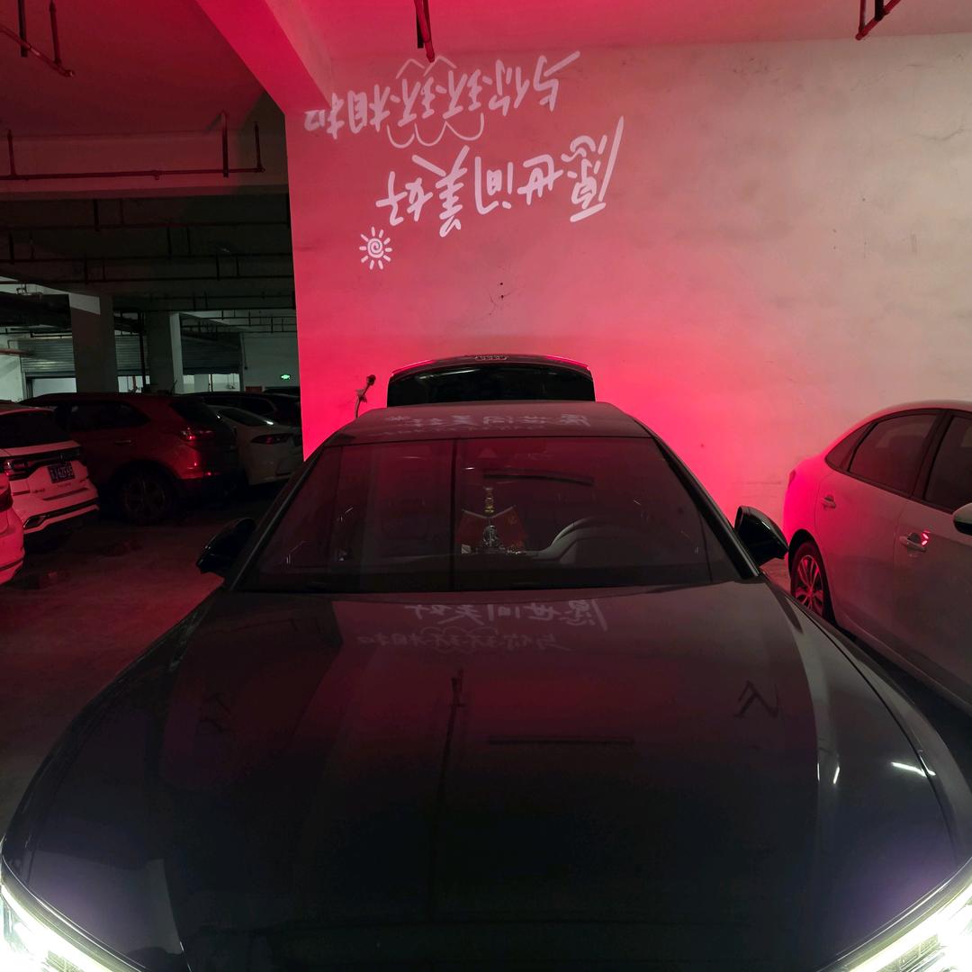 诗酒趁年华