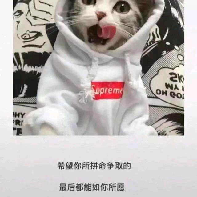 ✨⃢前⃢程⃢似⃢锦⃢✨