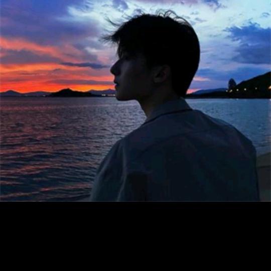 落花看尽烟花慕