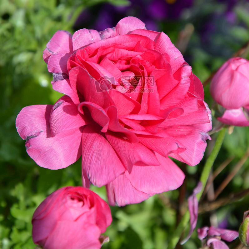 小小心愿，愿大家都幸福