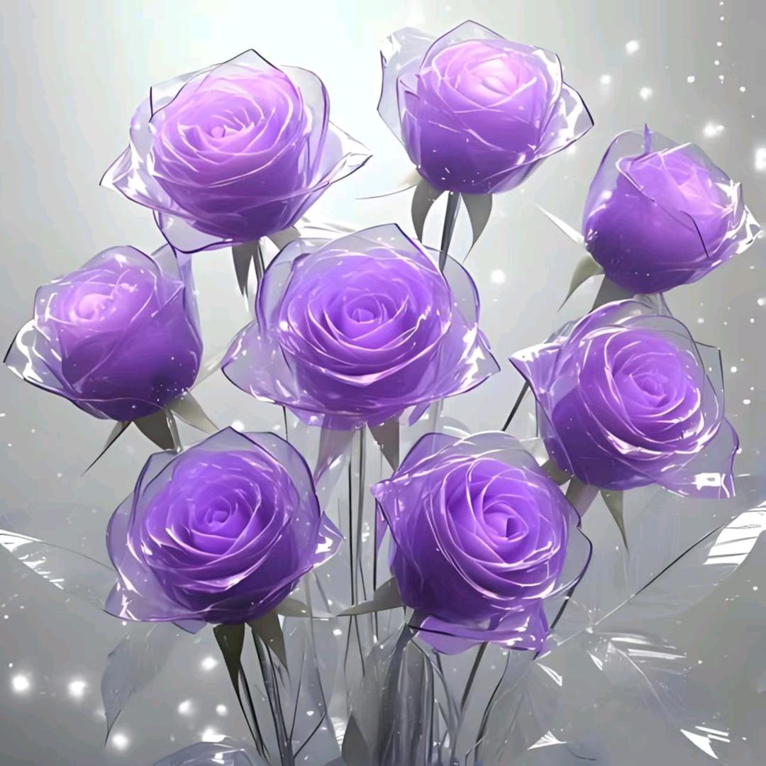 🌹紫色🇨🇳玫瑰🌹