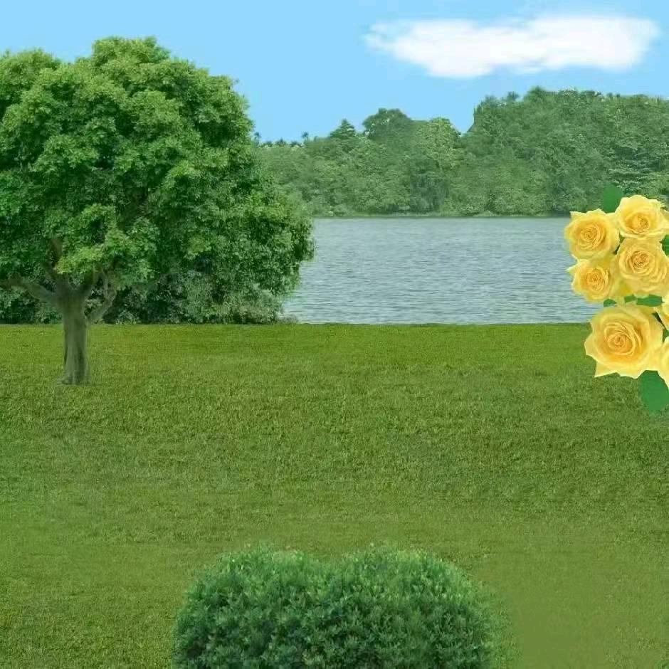 勇敢的心：