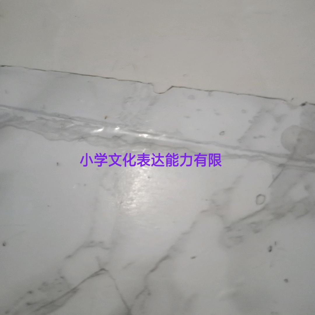 《 飞霜 》世上我最丑最傻