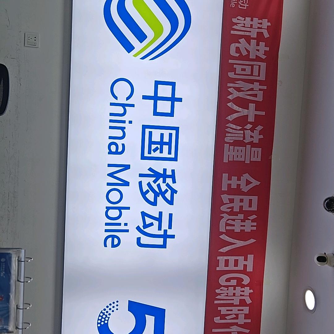 静动结合