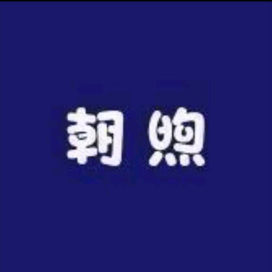 朝煦专营店1号
