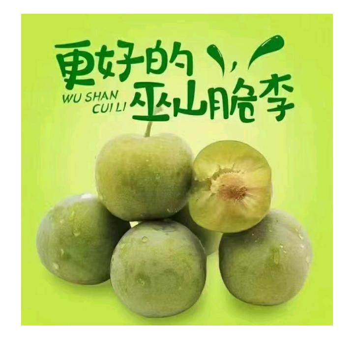 顺其自然奉节
