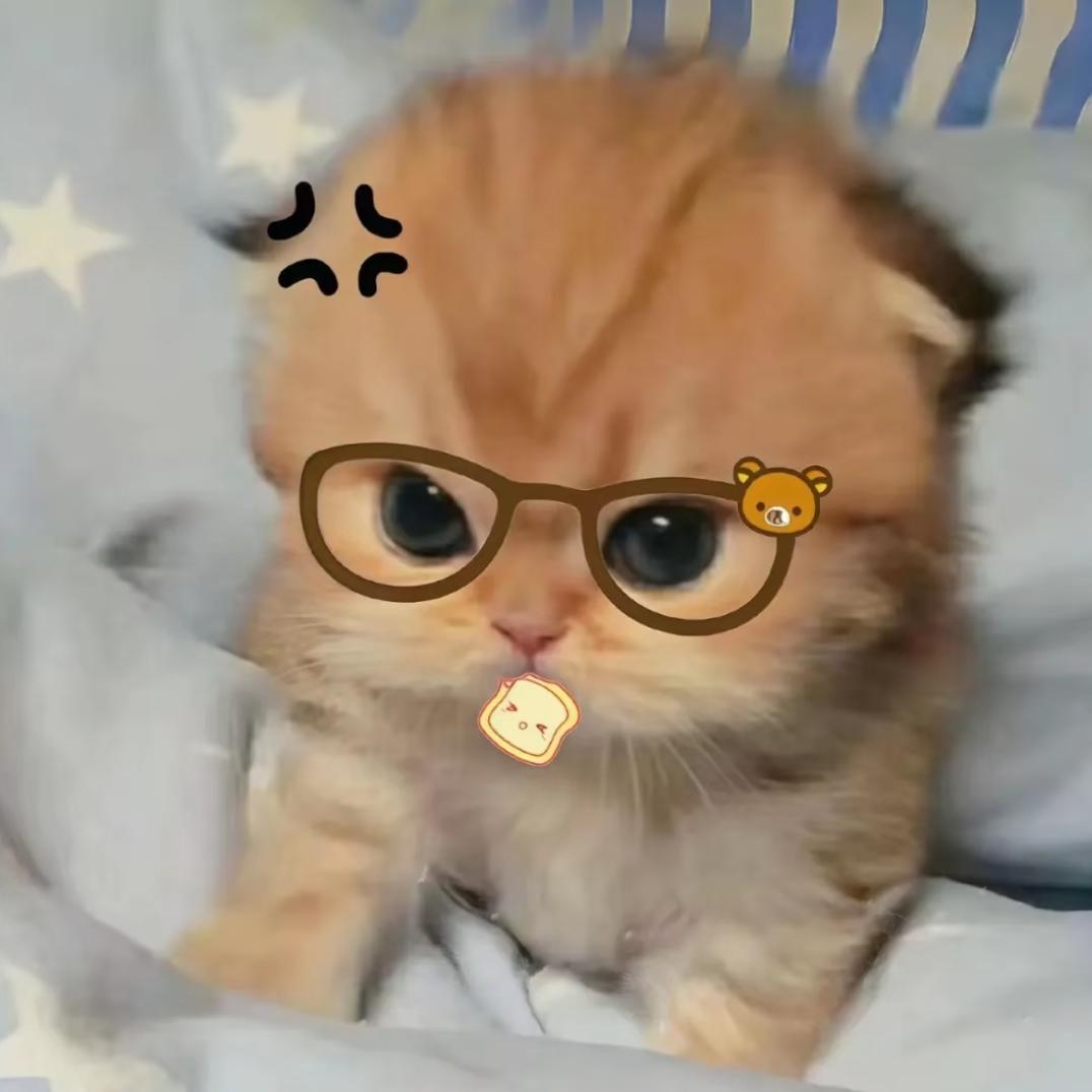 小奶丁