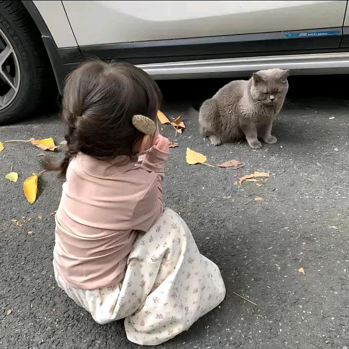 幸运小羊