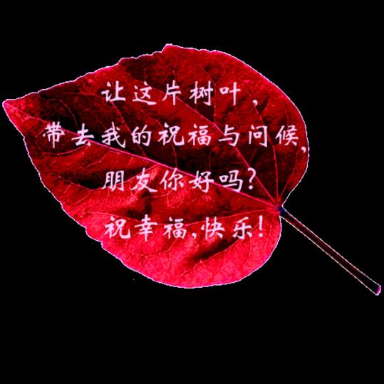 忆往昔