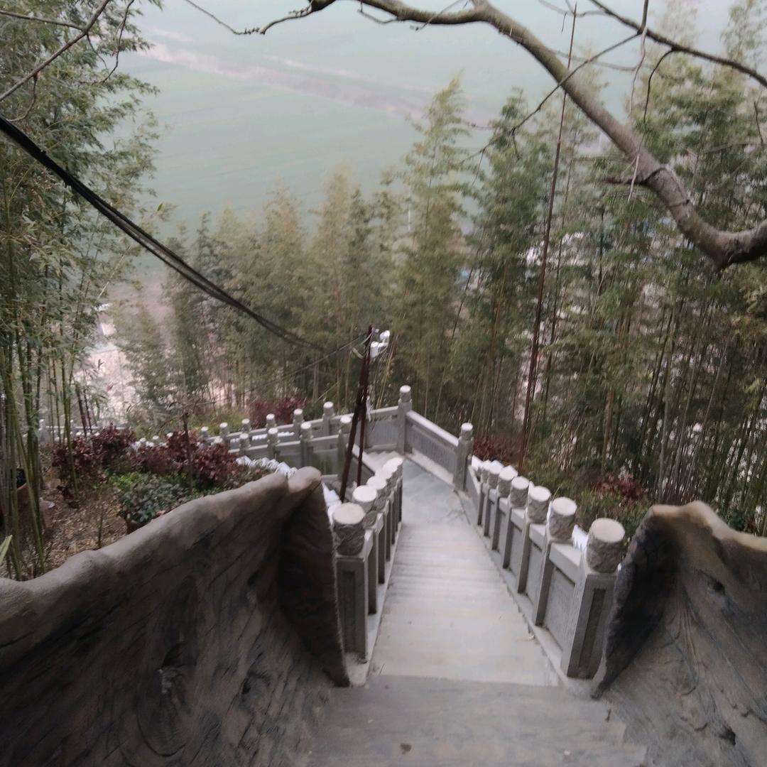 非李👉莫属