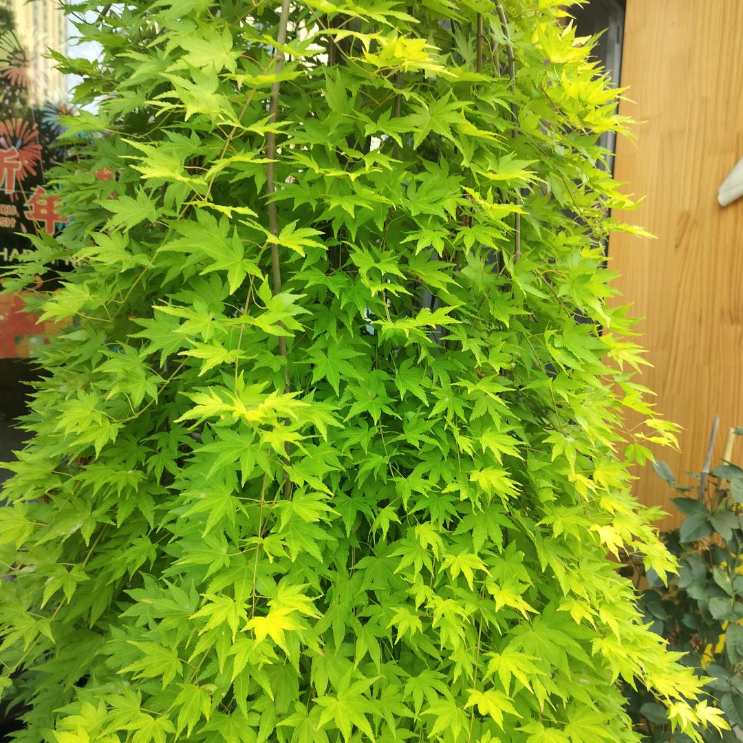 好好爱自己