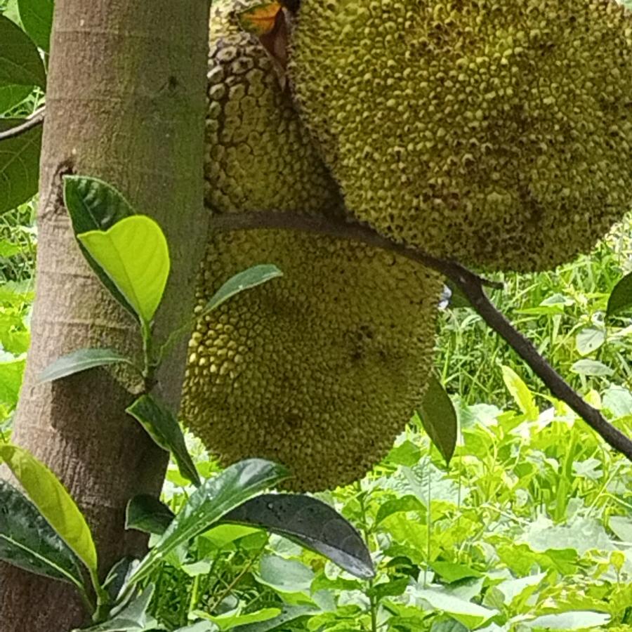 ლ(删///◜除ਊ◝过///往)ლ