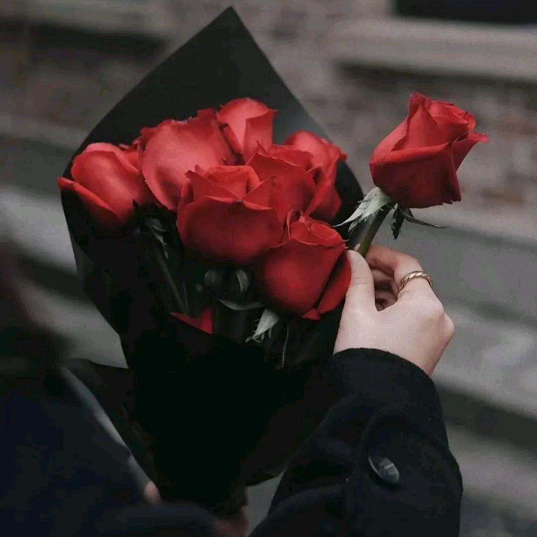 🔴🌹