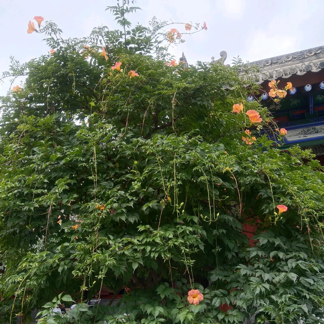 四.二班的小崽崽