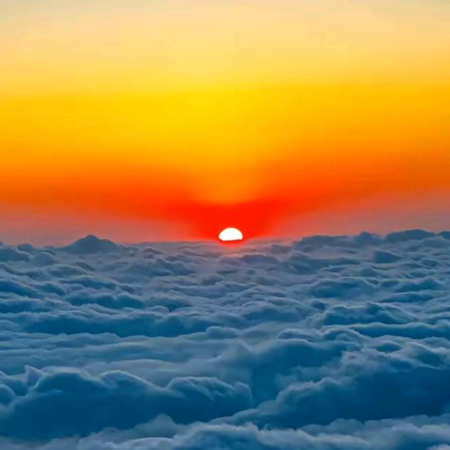 🍀做自己的女王🍀