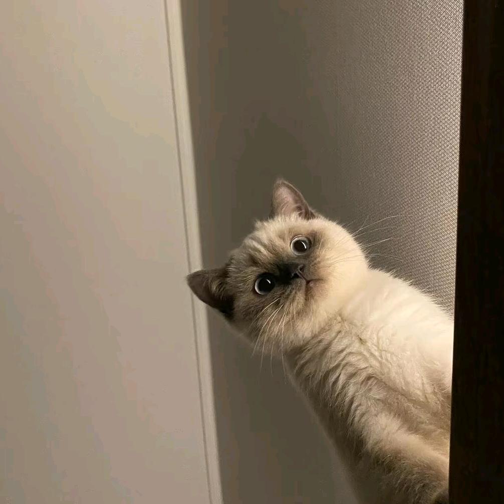 yy