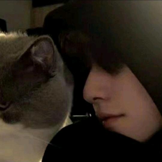 雾散时风起📷✈️