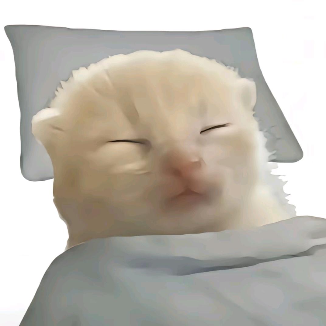 鸡蛋琳
