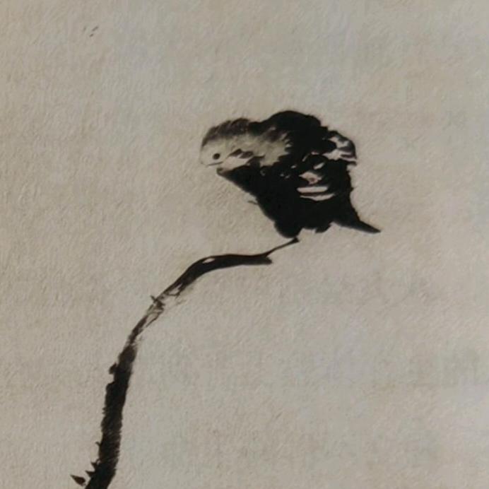 开拓者
