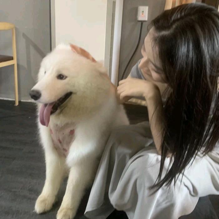 真诚小趴菜（没✓🐘来）