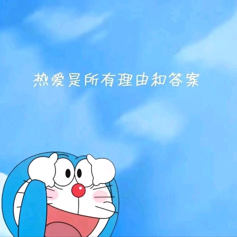 猫猫🐱