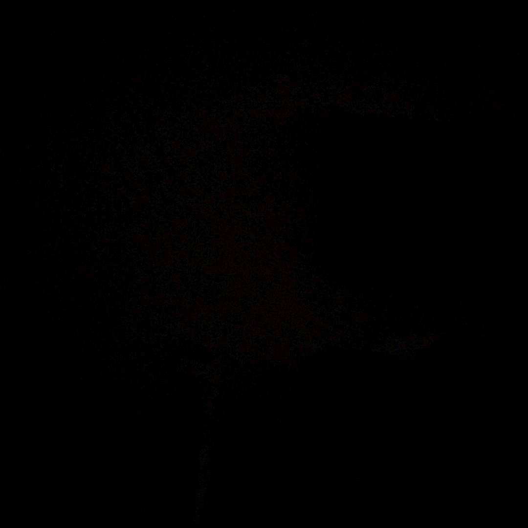 人生没有如果