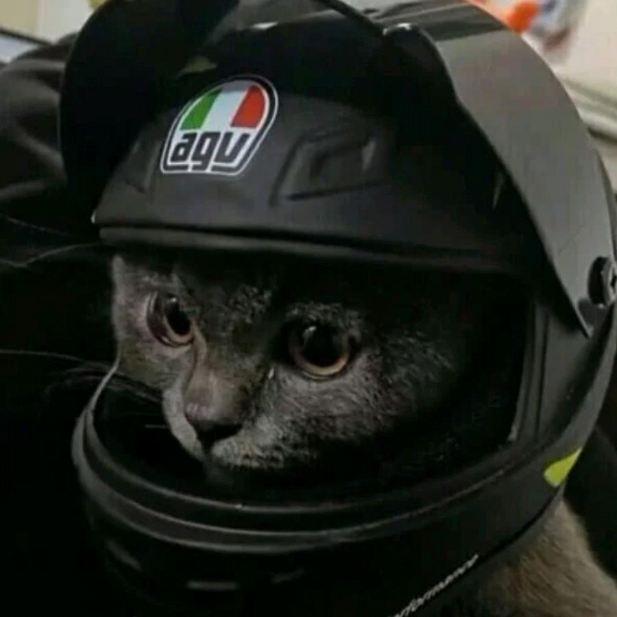ิۖิۣ ۣۣۖۖۖۖิۖิิۣۣۖۖิ