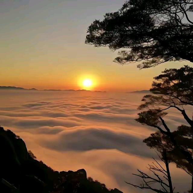 清风愈心