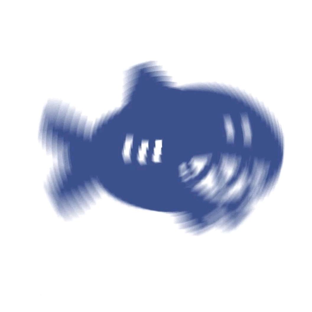 落日途径花海