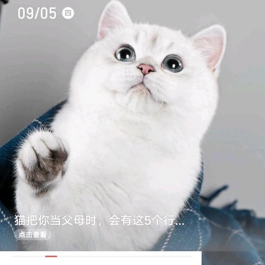 草莓