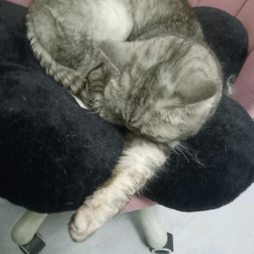 海口秀英赫颖娟百货商行（个体工商户）