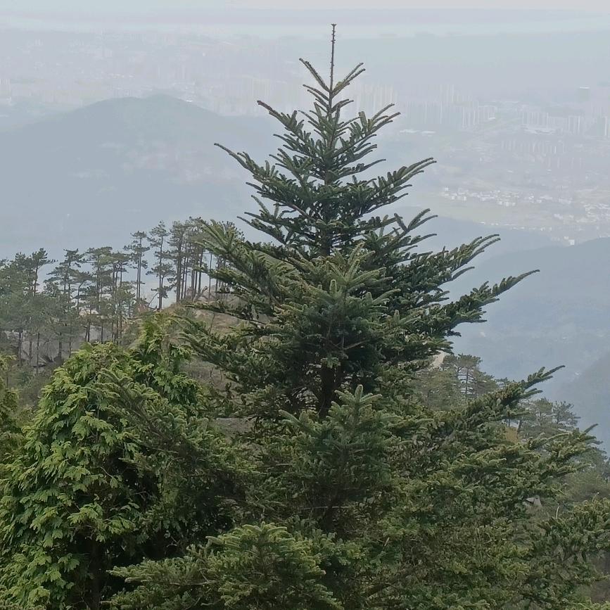 你是让我最伤心的人