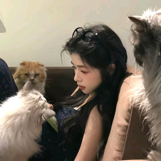 好想见ᴿᵒʸ ᵂᵃⁿᵍ