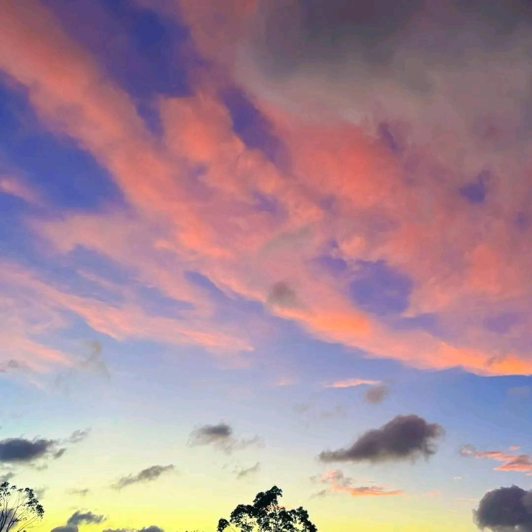 佛系预言家  🔥