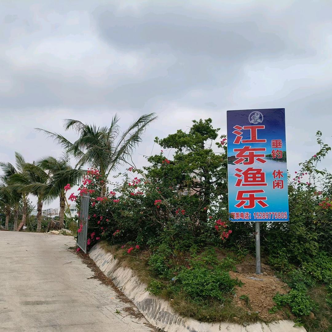 江东渔乐钓场《直播号》