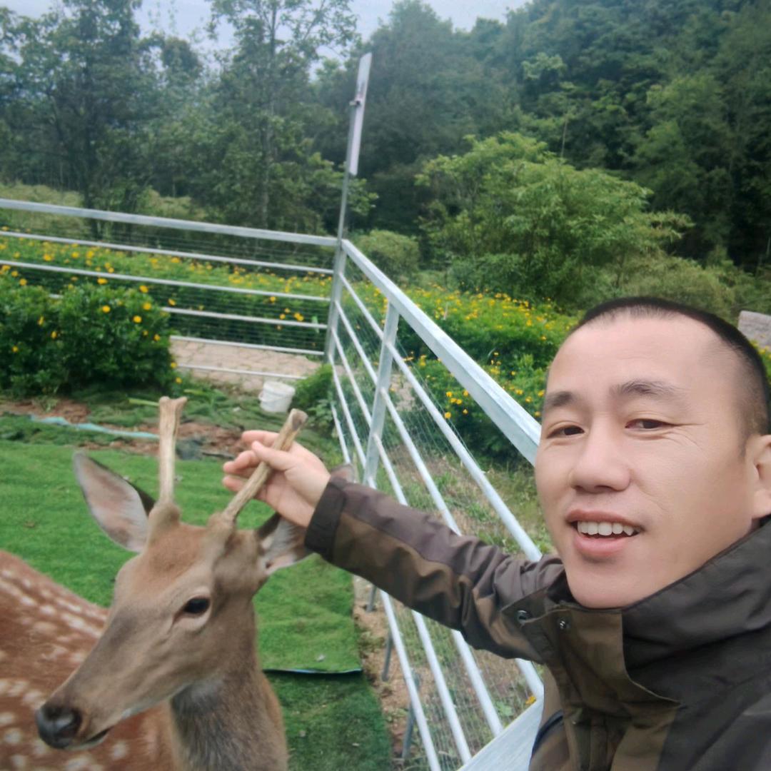 我是卖酒的熊熊