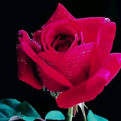 (*｀Ω´*)v不必谁懂我(ง'-̀'́