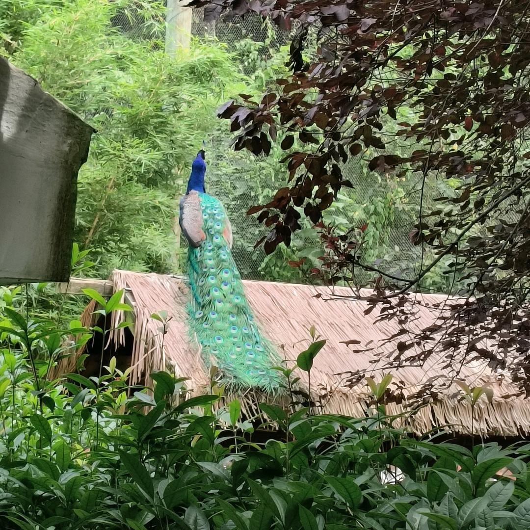 ღ᭄懂你💕宠你დ᭄