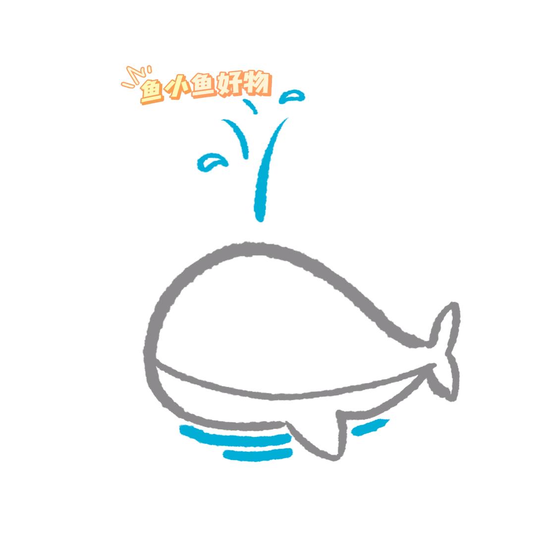 鱼小鱼好物